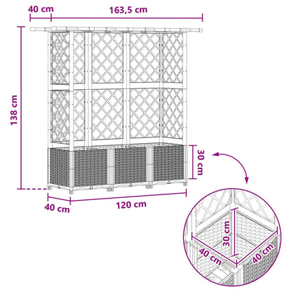 Raised Bed with Trellis and Roof Brown 163.5 x 40 x 138 cm PP