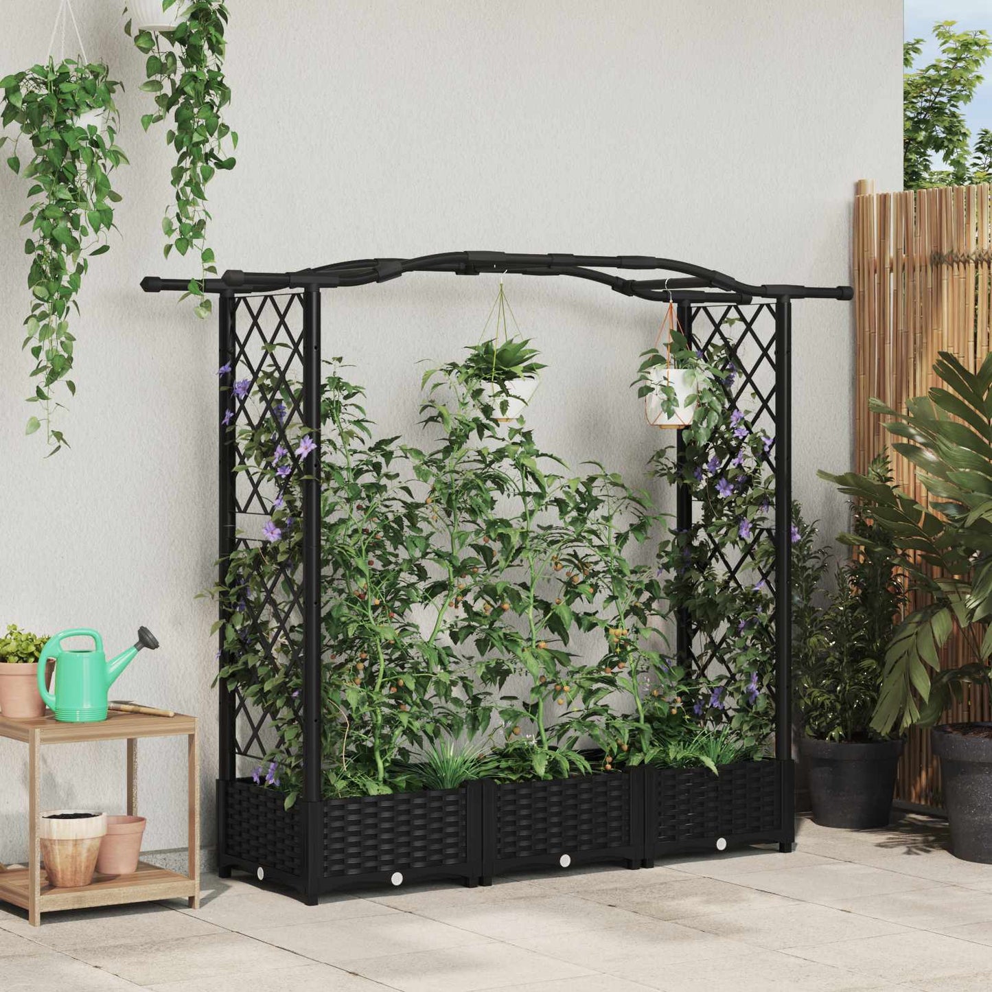 Raised Bed with Trellis and Roof Black 169 x 40 x 125 cm PP