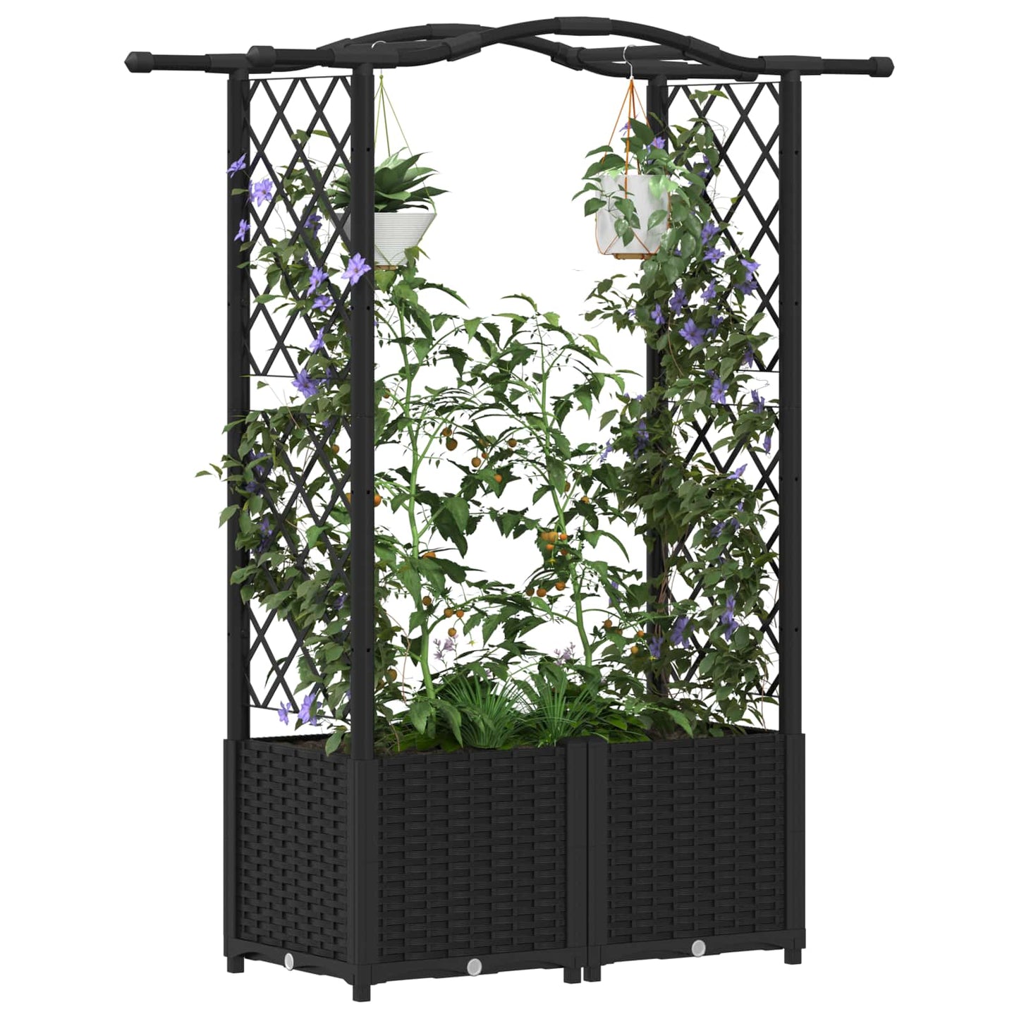 Raised Bed with Trellis and Roof Black 125 x 40 x 138 cm PP