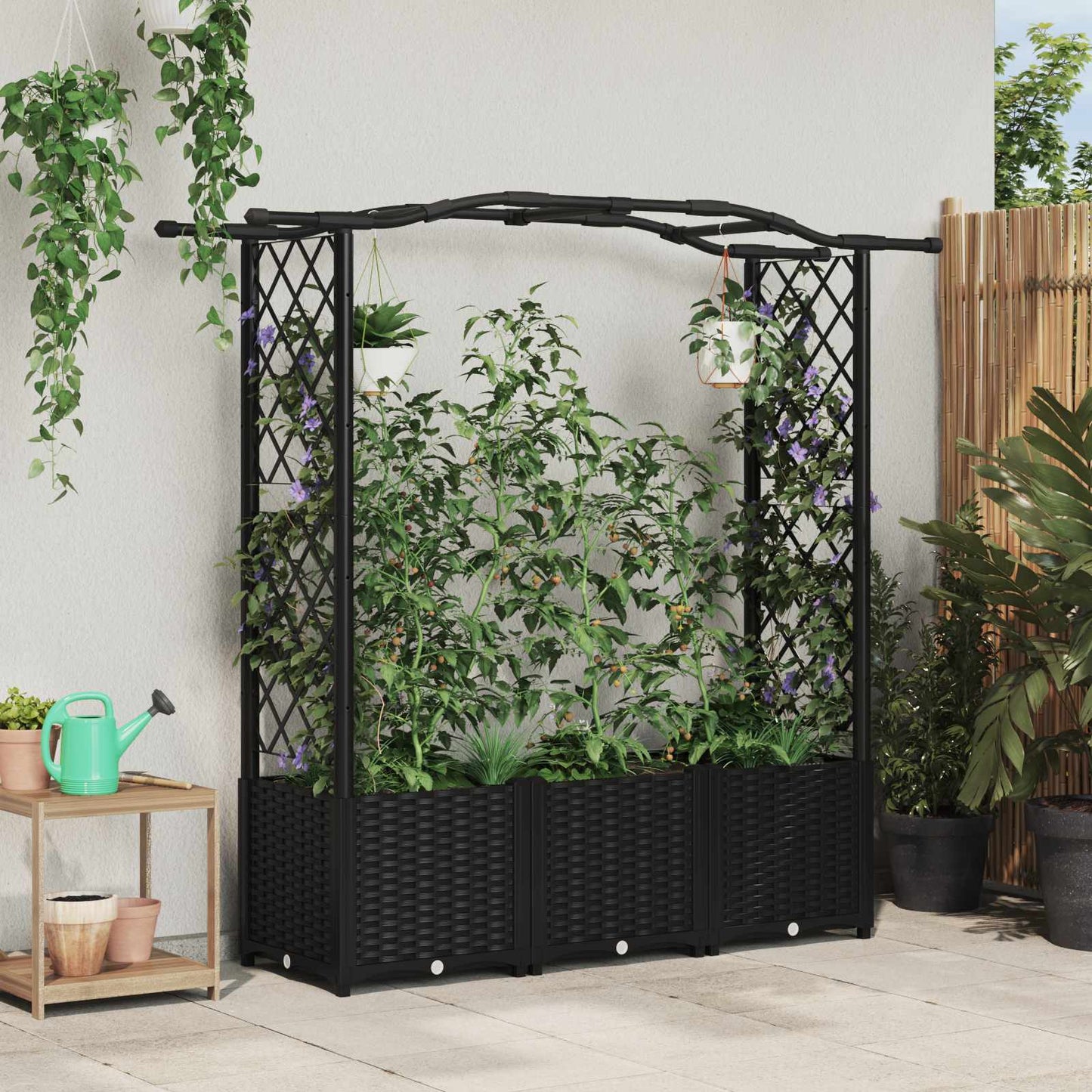 Raised Bed with Trellis and Roof Black 164 x 40 x 142 cm PP