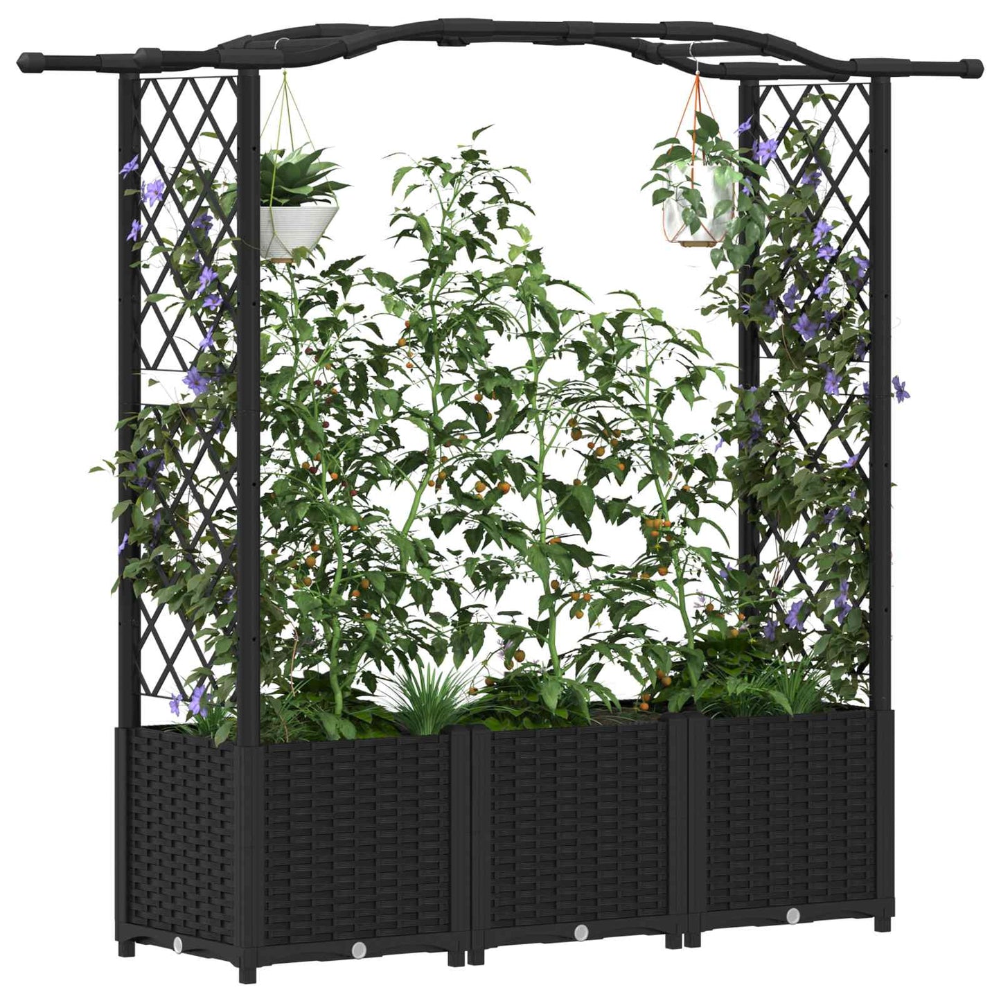 Raised Bed with Trellis and Roof Black 164 x 40 x 142 cm PP