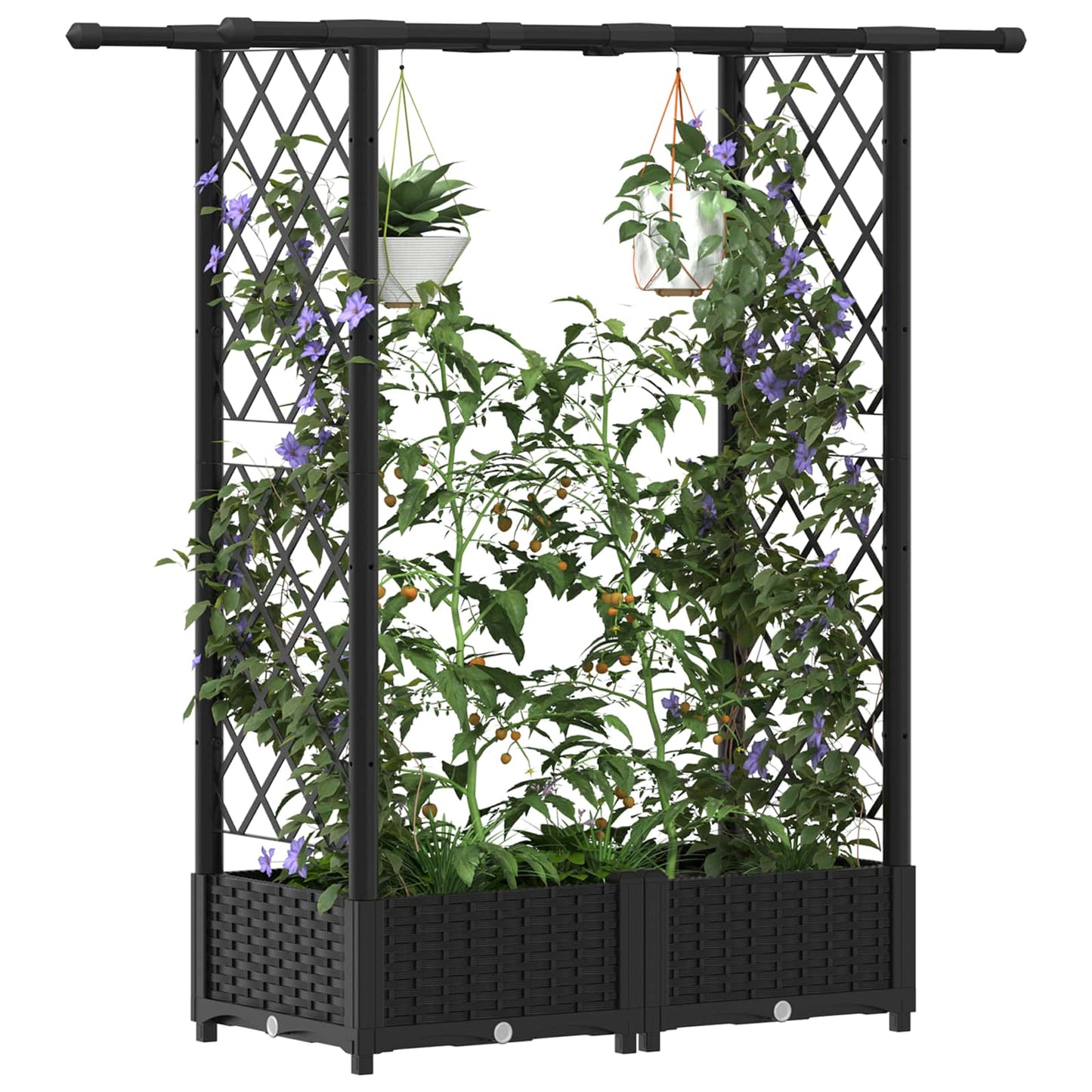 Raised Bed with Trellis and Roof Black 122.5 x 40 x 123 cm PP
