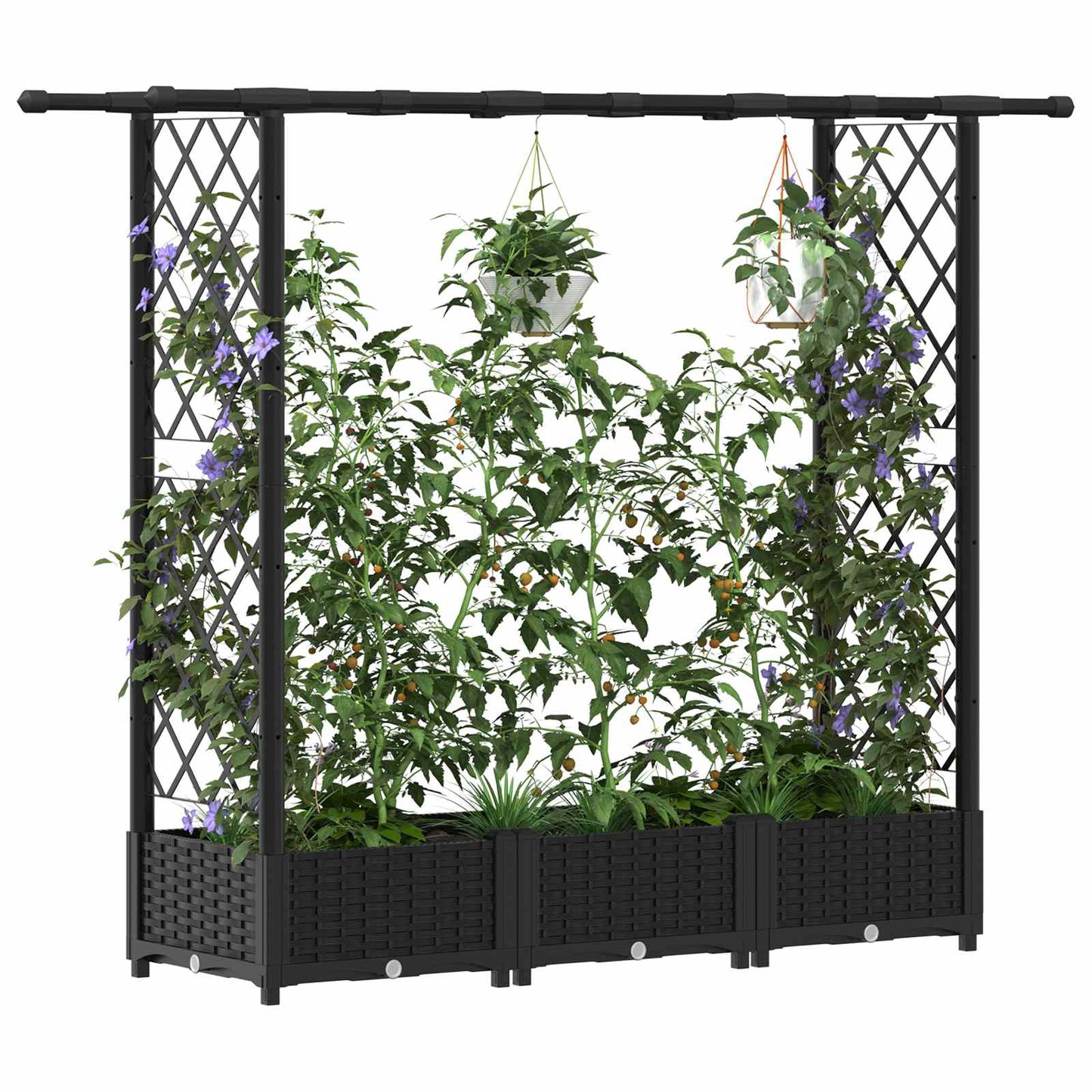 Raised Bed with Trellis and Roof Black 164 x 40 x 123 cm PP