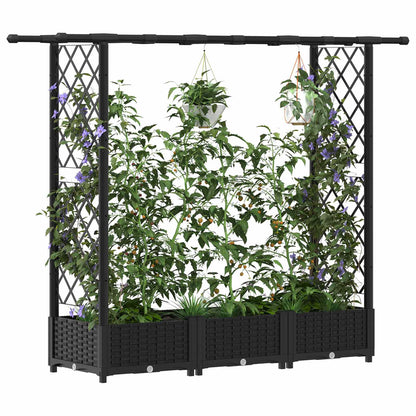 Raised Bed with Trellis and Roof Black 164 x 40 x 123 cm PP