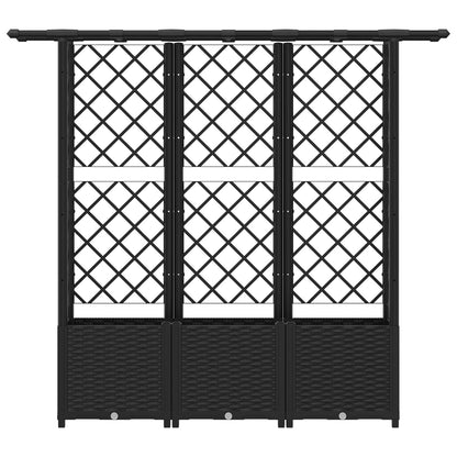 Raised Bed with Trellis and Roof Black 162.5 x 40 x 138 cm PP