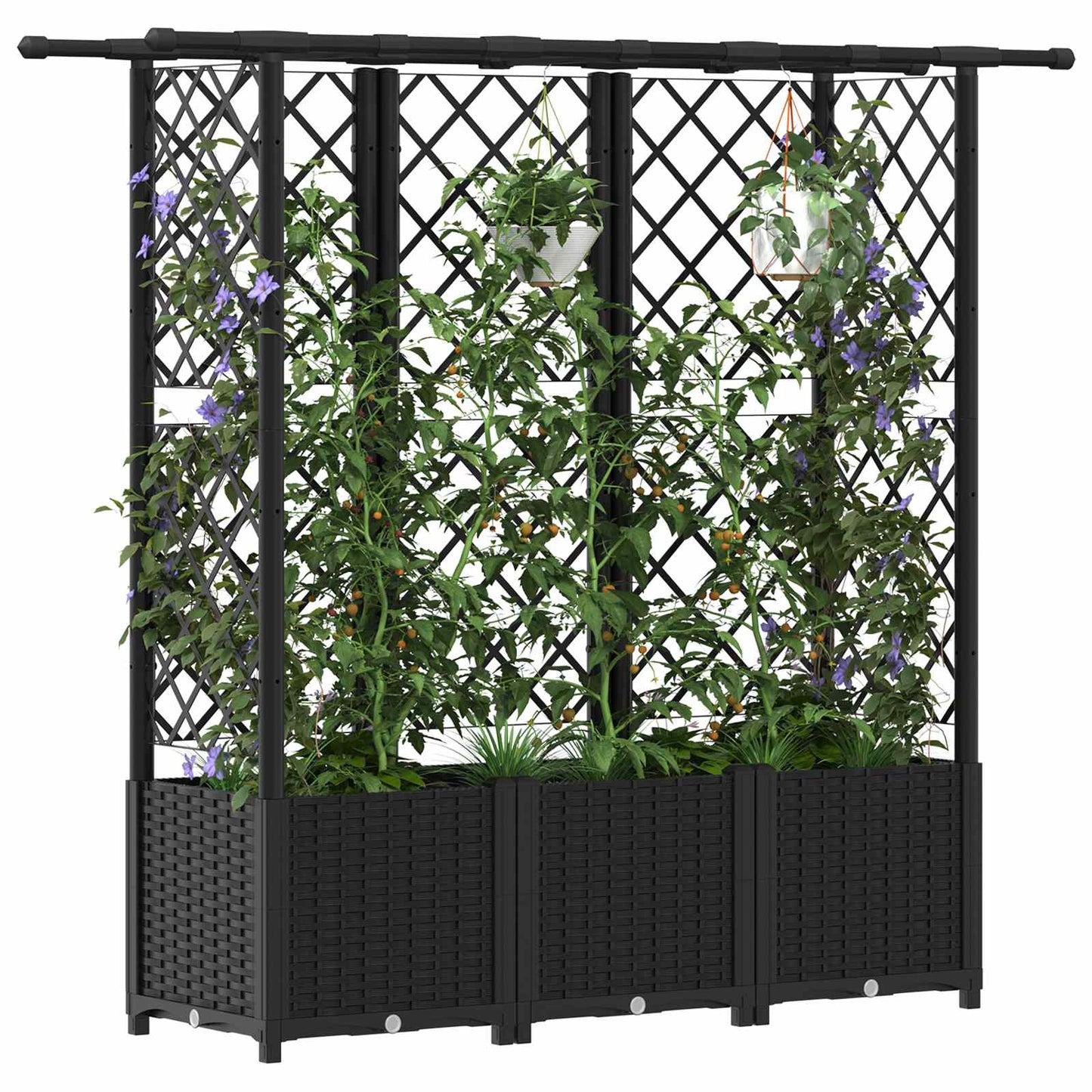Raised Bed with Trellis and Roof Black 162.5 x 40 x 138 cm PP