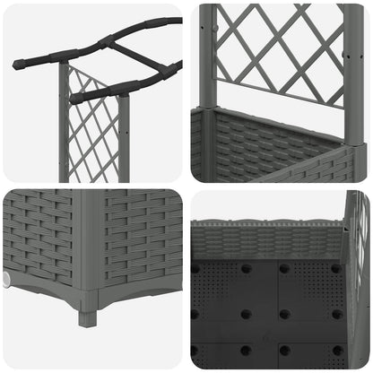 Raised Bed with Trellis and Roof Light Grey 207 x 40 x 126 cm