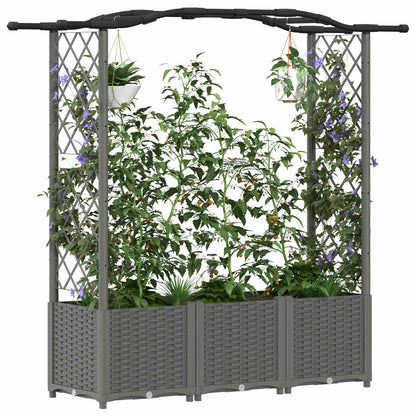 Raised Bed with Trellis and Roof Light Grey 164 x 40 x 142 cm
