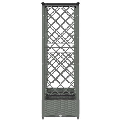 Raised Bed with Trellis and Roof Light Grey 203 x 40 x 121 cm