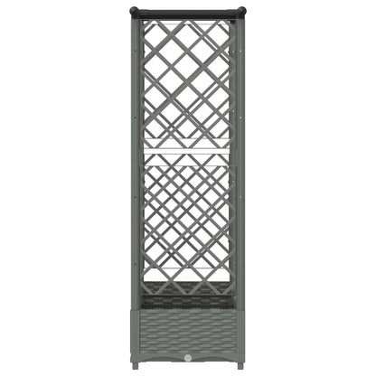 Raised Bed with Trellis and Roof Light Grey 164 x 40 x 121 cm