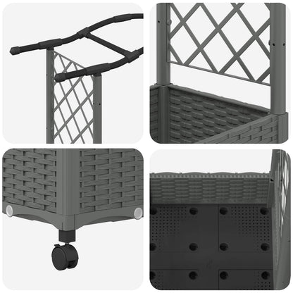 Raised Bed with Trellis and Roof Light Grey 124 x 40 x 129 cm