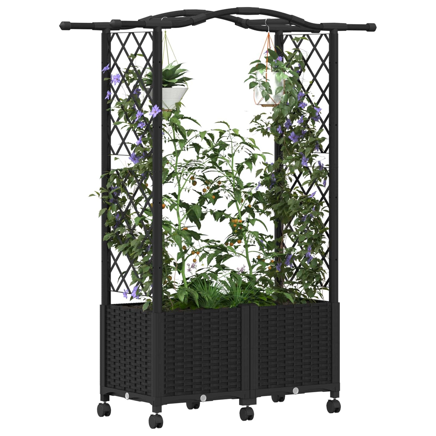 Raised Bed with Trellis and Roof Black 125 x 40 x 144 cm PP