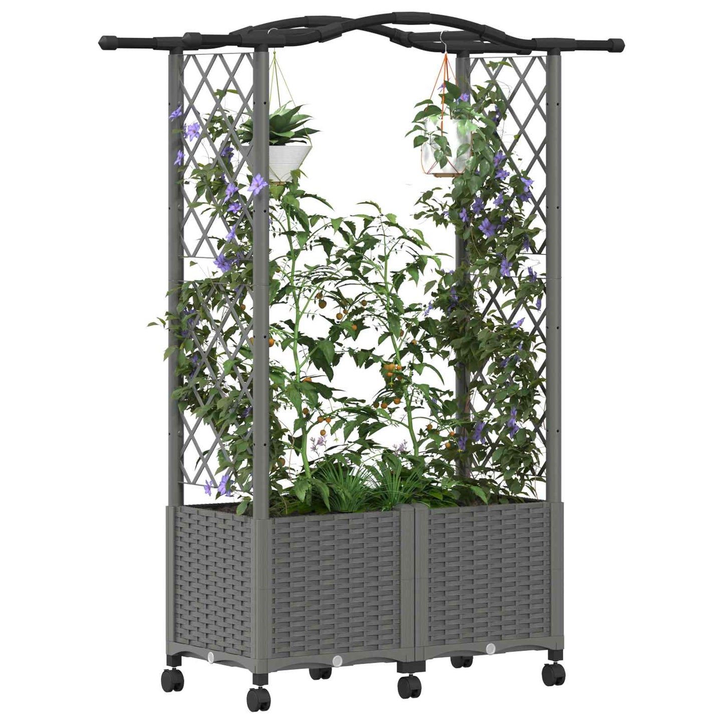 Raised Bed with Trellis and Roof Light Grey 125 x 40 x 144 cm