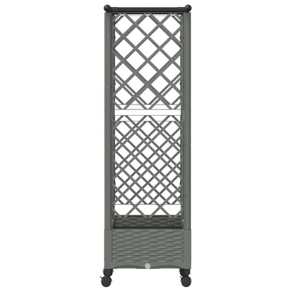 Raised Bed with Trellis and Roof Light Grey 122.5 x 40 x 127 cm