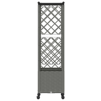 Raised Bed with Trellis and Roof Light Grey 124.5 x 40 x 142 cm