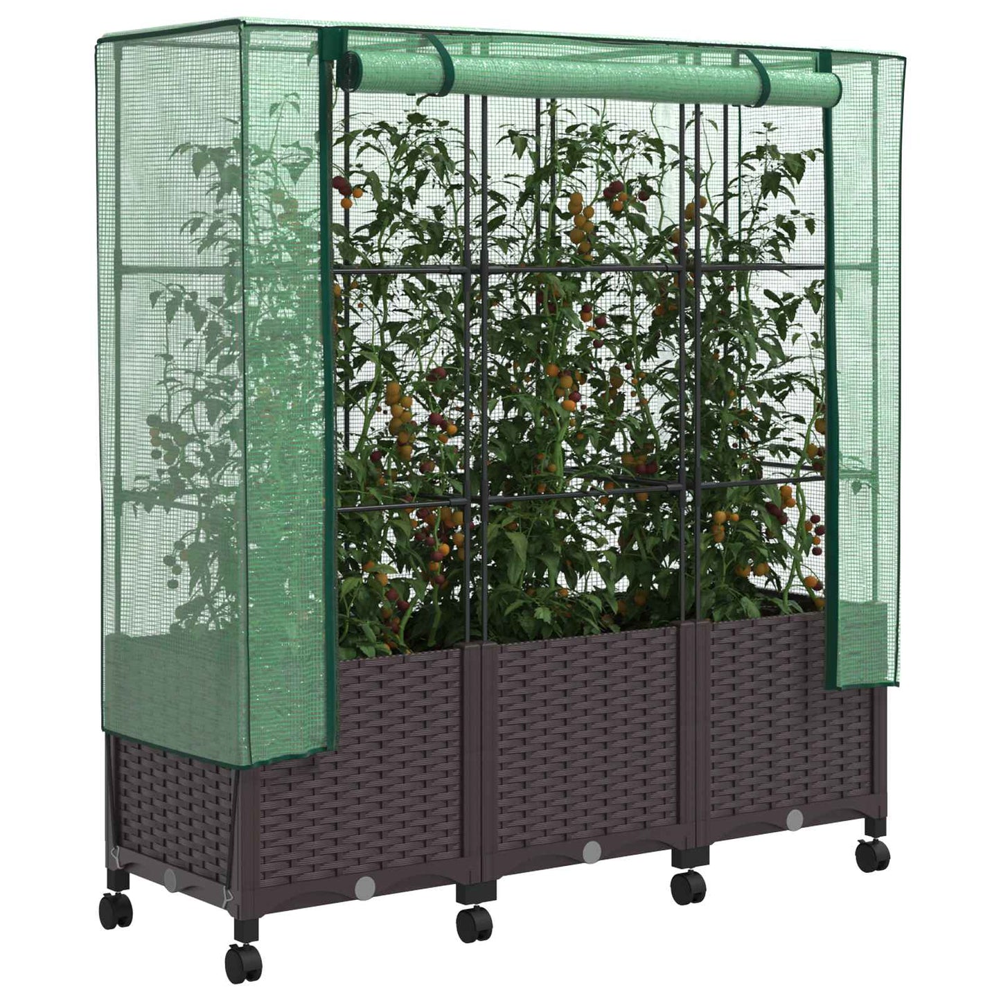 Garden Planter with Greenhouse Cover&Wheels 3 pcs Brown PP