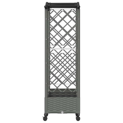 Raised Bed with Trellis and Roof Light Grey 169 x 40 x 129 cm