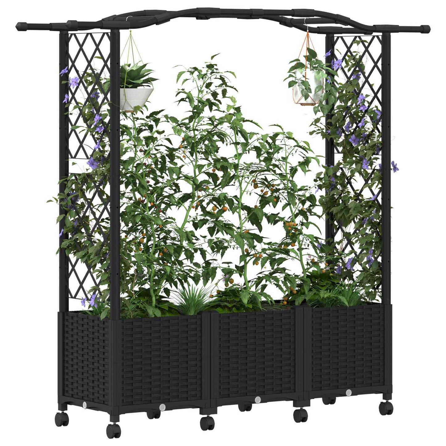 Raised Bed with Trellis and Roof Black 164 x 40 x 144 cm PP