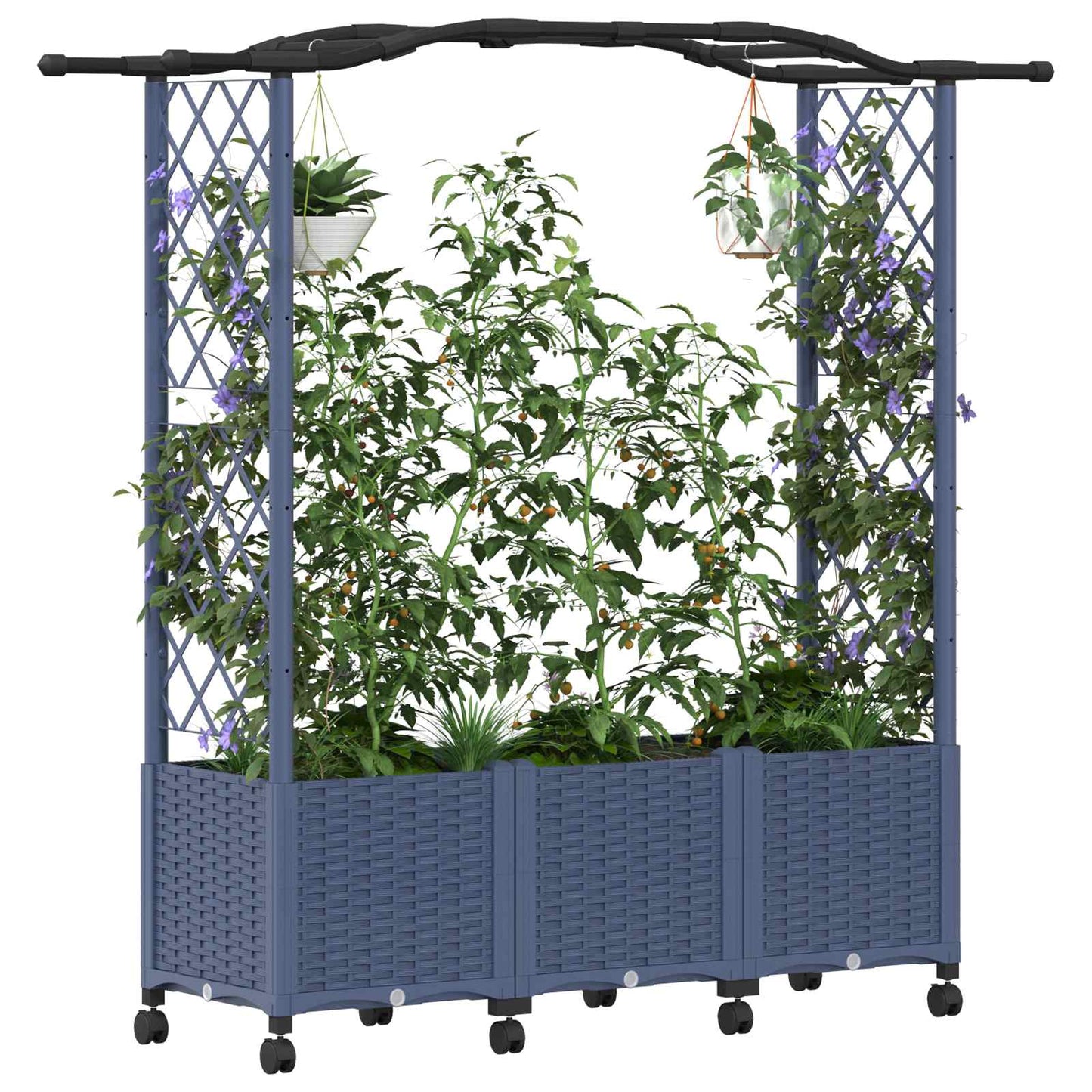 Raised Bed with Trellis and Roof Grey 164 x 40 x 144 cm PP