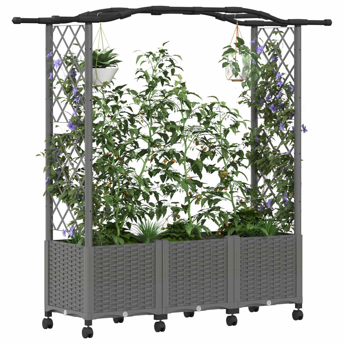 Raised Bed with Trellis and Roof Light Grey 164 x 40 x 144 cm
