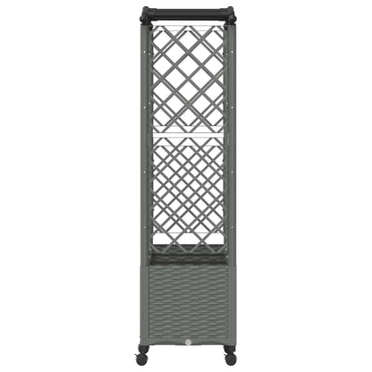 Raised Bed with Trellis and Roof Light Grey 164 x 40 x 144 cm
