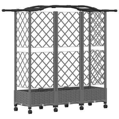 Raised Bed with Trellis and Roof Light Grey 163 x 40 x 129 cm