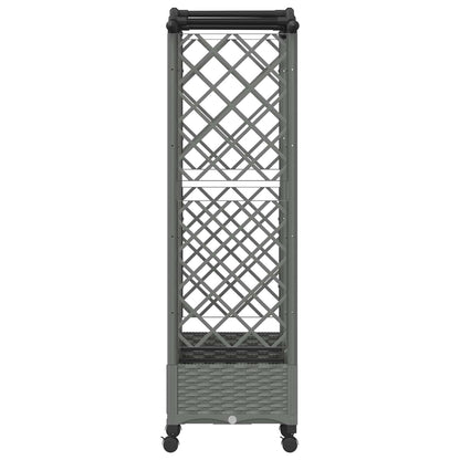Raised Bed with Trellis and Roof Light Grey 163 x 40 x 129 cm