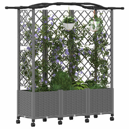 Raised Bed with Trellis and Roof Light Grey 163 x 40 x 144 cm