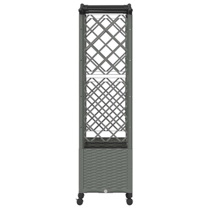 Raised Bed with Trellis and Roof Light Grey 163 x 40 x 144 cm
