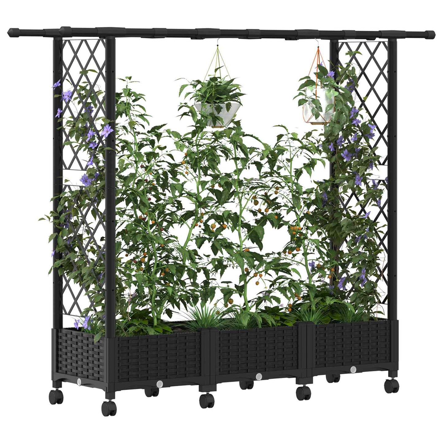 Raised Bed with Trellis and Roof Black 164 x 40 x 127 cm PP