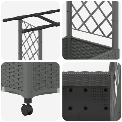 Raised Bed with Trellis and Roof Light Grey 164 x 40 x 127 cm
