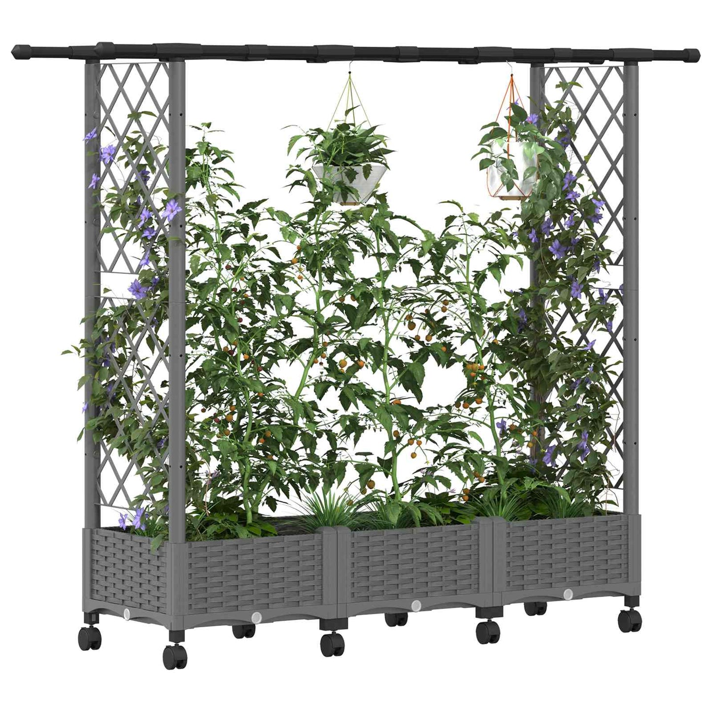 Raised Bed with Trellis and Roof Light Grey 164 x 40 x 127 cm