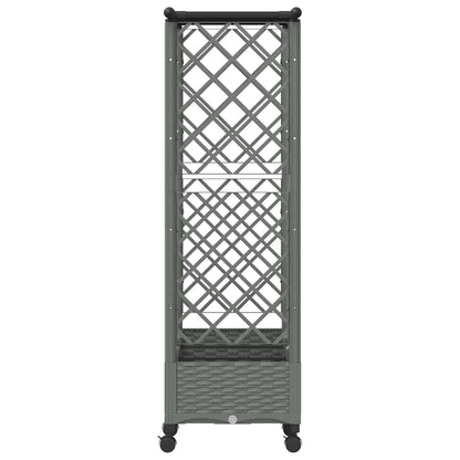 Raised Bed with Trellis and Roof Light Grey 164 x 40 x 127 cm