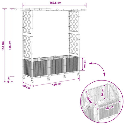 Raised Bed with Trellis and Roof Black 162.5 x 40 x 142 cm PP