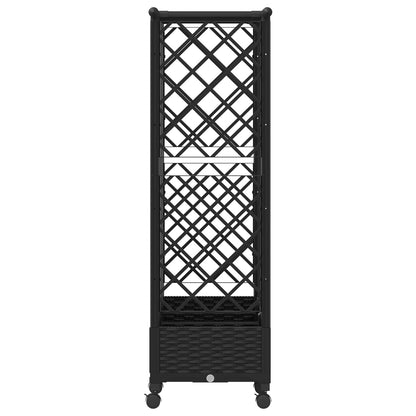 Raised Bed with Trellis and Roof Black 164 x 40 x 127 cm PP