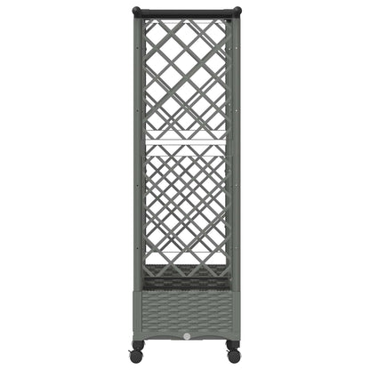 Raised Bed with Trellis and Roof Light Grey 164 x 40 x 127 cm