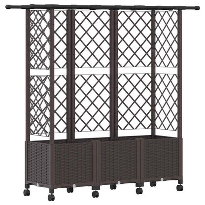 Raised Bed with Trellis and Roof Brown 163.5 x 40 x 142 cm PP