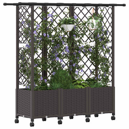 Raised Bed with Trellis and Roof Brown 163.5 x 40 x 142 cm PP