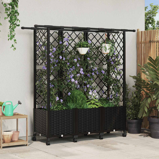 Raised Bed with Trellis and Roof Black 163.5 x 40 x 142 cm PP
