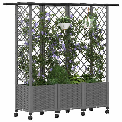 Raised Bed with Trellis and Roof Light Grey 163.5 x 40 x 142 cm