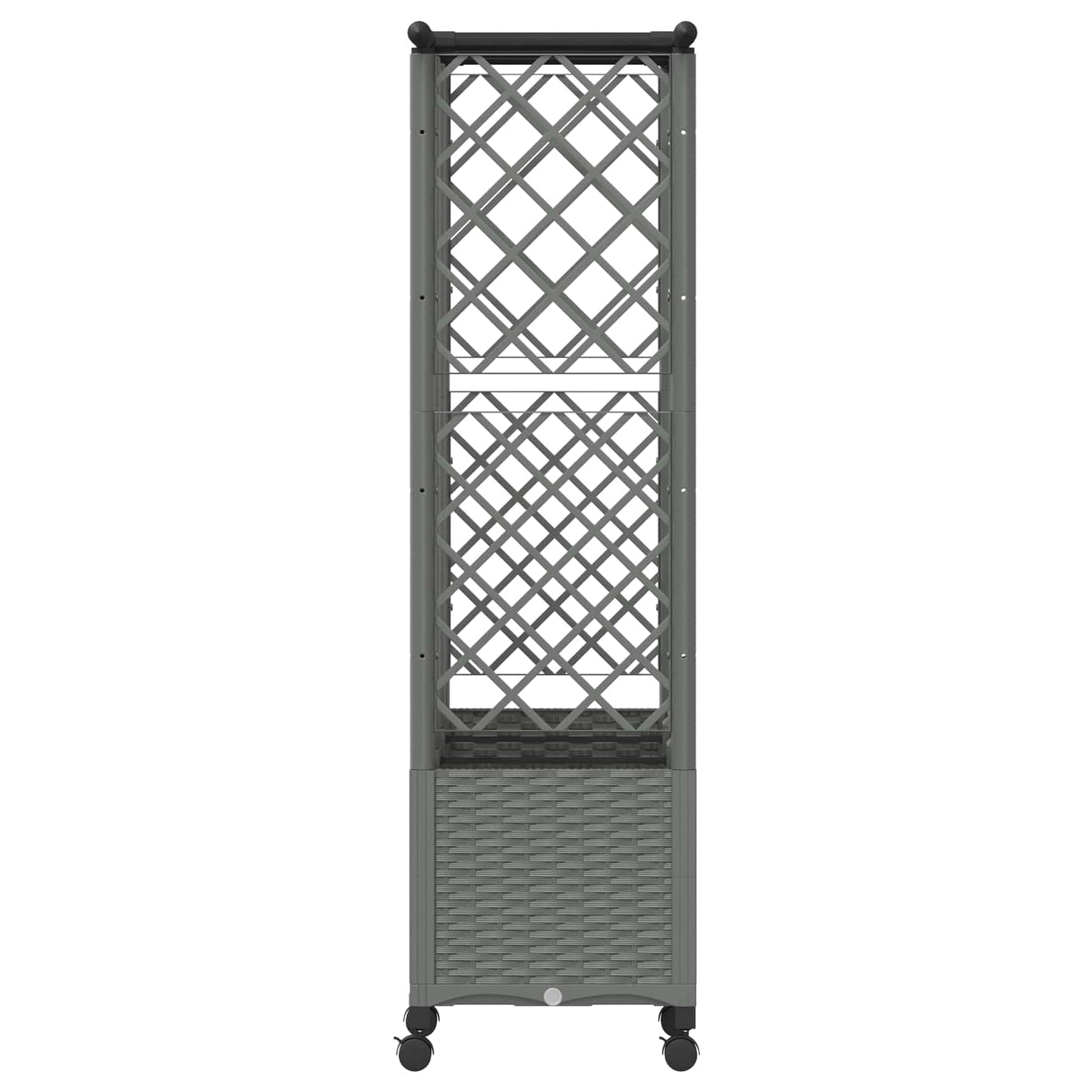 Raised Bed with Trellis and Roof Light Grey 163.5 x 40 x 142 cm