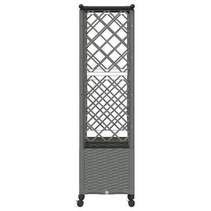 Raised Bed with Trellis and Roof Light Grey 163.5 x 40 x 142 cm