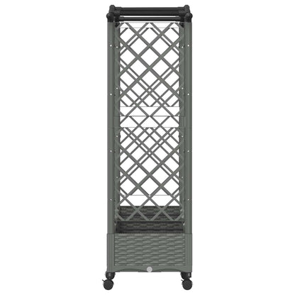 Raised Bed with Trellis and Roof Light Grey 207 x 40 x 129 cm