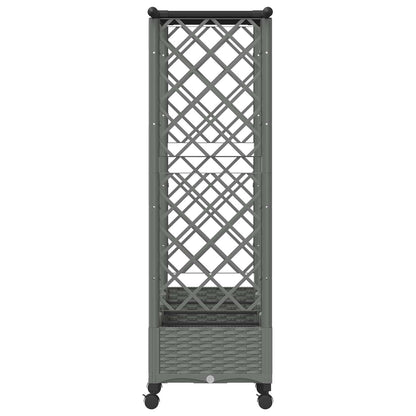 Raised Bed with Trellis and Roof Light Grey 203 x 40 x 127 cm