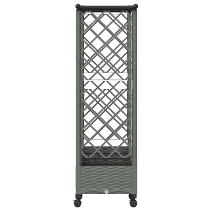 Raised Bed with Trellis and Roof Light Grey 202.5 x 40 x 127 cm