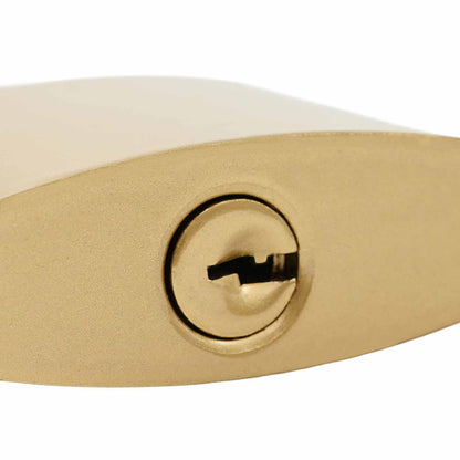 U Lock with Keys 12 pcs Brass Iron