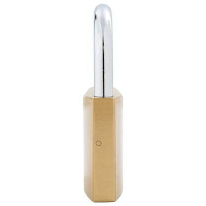 U Lock with Keys 12 pcs Brass Iron