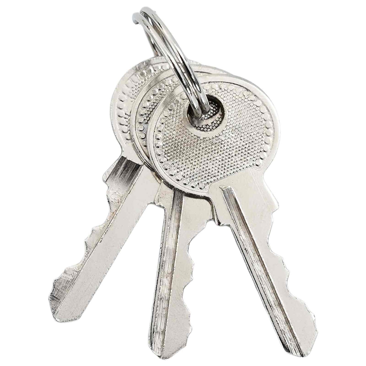 U Lock with Keys 2 pcs Brass Iron