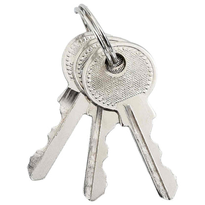U Lock with Keys 2 pcs Brass Iron