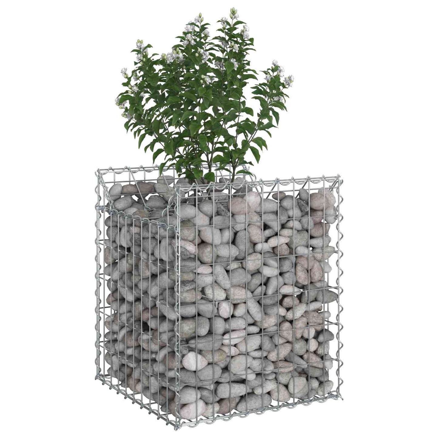 Gabion Raised Bed Silver